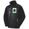 Compass padded softshell jacket Thumbnail